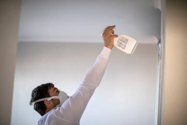 Best Local Mold Removal Service  in Sunnyvale, CA