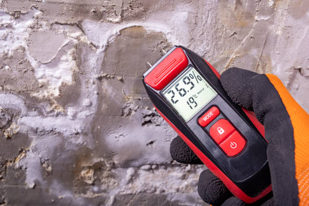 Best Attic Mold Removal  in Sunnyvale, CA