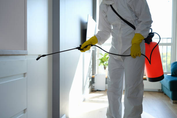 Mold Removal and Inspection in Sunnyvale, CA