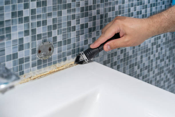 Mold Testing and Removal in Sunnyvale, CA
