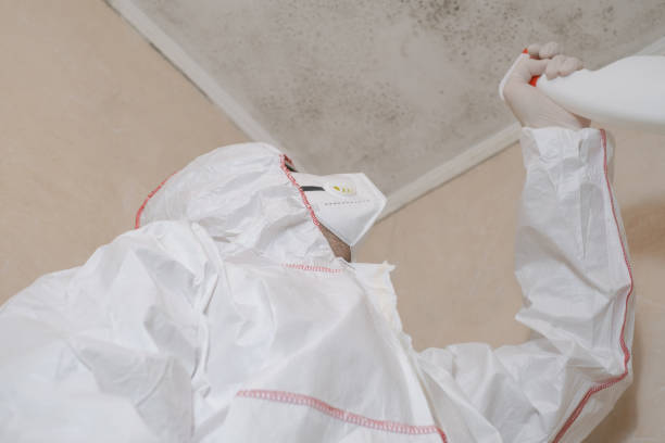 Best Emergency Mold Removal  in Sunnyvale, CA